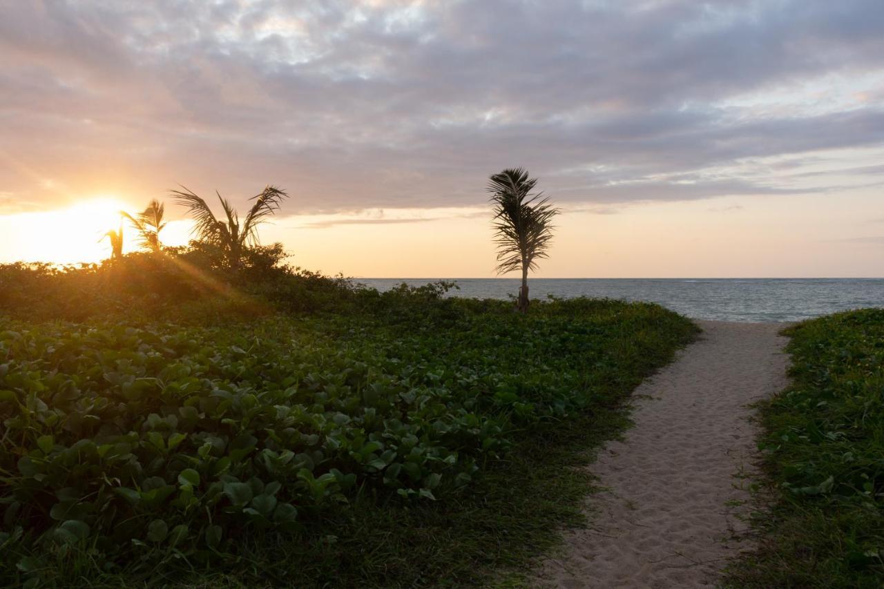 Hotel Coral Beach Tamandaré Dış mekan fotoğraf